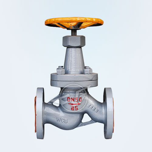 Globe dark globe valves 