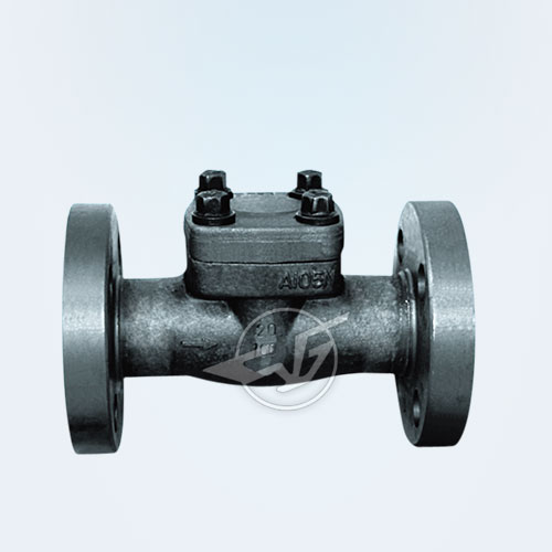 American Standard forged steel flange check valve