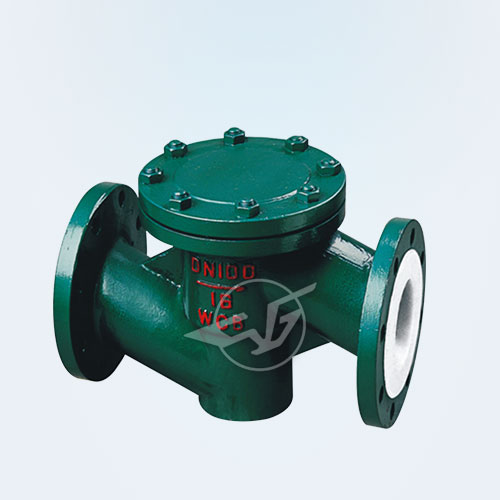 Lift type fluorine fluorine check valve